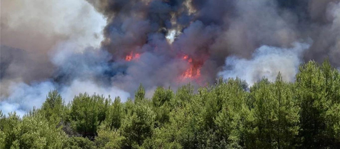 Φωτιά στο Γραμματικό: Συνελήφθη ένα άτομο για εμπρησμό